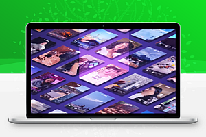 PR快速创建字幕对白文字标题动画脚本 Aescripts Captioneer V1.3.0附使用教程