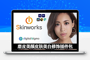 AE/PR/Nuke/OFX达芬奇磨皮美颜皮肤美白修饰插件包 Digitalbigmo Skinworks 2024.11.00 Win CE