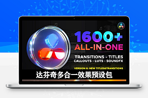 1600+豪华达芬奇缩放分割光效遮挡无缝转场标题LUTs调色音效预设 Transitions Library