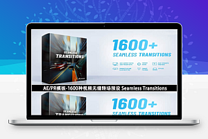 AE/PR模板-1600种视频无缝转场预设 Seamless Transitions