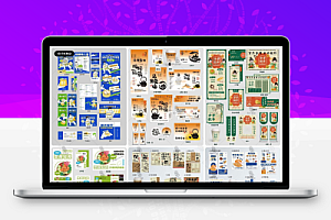 品牌vi手册营销宣传活动促销包装整套视觉物料模板psd素材全套