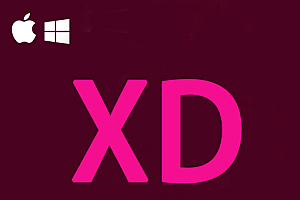 Adobe Experience Design  2017-2025 Win/Mac 中文版XD软件下载