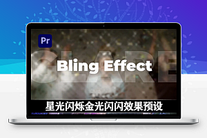 PR预设|星光闪烁金光闪闪效果预设 Bling Effect