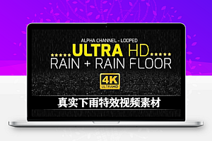4K视频素材|真实下雨特效循环动画(含雨声和Alpha透明通道) Rain