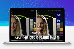 中文汉化-AE/PR模拟胶片视频调色插件 Look Designer v3.1.1 For Adobe Win破解版