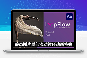 中文汉化AE插件|loopFlow v1.3.1 Win/Mac 静态图片局部流动循环动画特效 + 安装教程
