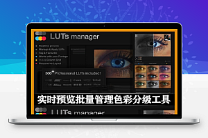 AE/PR脚本|实时预览批量管理终极色彩分级工具 LUTs Manager V1.0.0