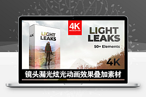 4K视频素材|62个真实镜头漏光炫光动画效果叠加素材 AEJuice Light Leaks
