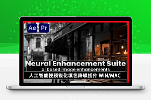 AE/PR插件|人工智能视频锐化填色降噪插件 Neural Enhancement Suite v1.7.26 Win/Mac破解版