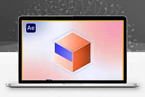 AE脚本|图层样式应用保存属性管理工具 Aescripts Dresser v1.0.10 + 使用教程