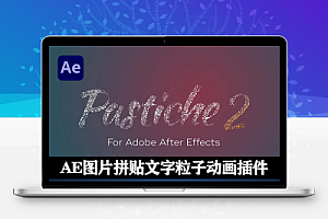 AE插件|Pastiche v2.1.15 Win中文汉化版 众多图片文字汇聚成自定义图形插件