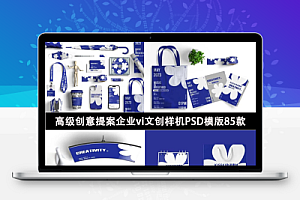 高级创意提案企业vi文创样机PSD模版85款