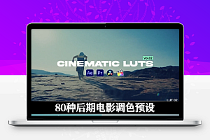 LUTs预设|大师级电影视频调色预设 PhilmColor R2 + R3