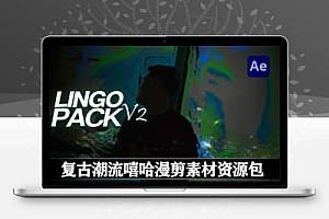 300组复古潮流嘻哈漫剪素材资源包 Payhip – Lingo Pack V2 (标题/预设/模型/纹理/LUT/音效等)