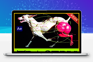 中文汉化-AE自动化颜色跟踪动态图形叠加插件 Tracery V1.1