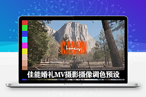 LUTs预设|佳能婚礼MV摄影摄像调色预设 Gamut Canon BaseLUTs for C-Log / C-Log 3