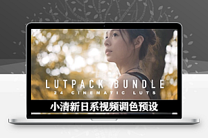 LUTs预设|24种人像风景小清新网红日系视频调色预设 LutPacks SLOG Lut Pack Bundle