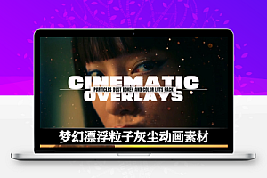 4K视频素材|15个梦幻漂浮粒子灰尘动画素材 Cinamatic Particles Dust Bokeh