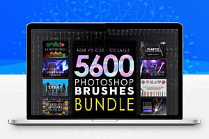 5673个PS笔刷超级捆绑集合包8合1 Photoshop Brushes Mega Bundle