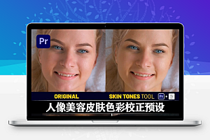 PR模板|123种人像美容皮肤色彩校正预设 Skin Tones Tool