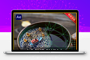 中文汉化-AE物体表面跟踪特效合成插件 Lockdown 3 v3.1.6 Win/Mac + 使用教程