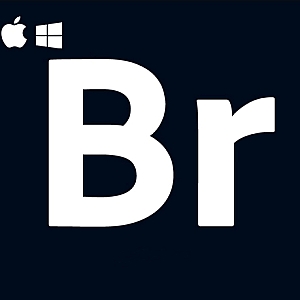 Adobe Bridge 2017-2024 Win/Mac 中文版BR软件下载