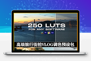 LUTs预设|250组高级旅行街拍VLOG调色预设 250 LUT Color Presets