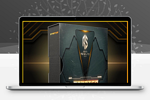 413组动作电影拳击打斗刀剑碰撞枪械射击音效素材合集包 STARTER Action Soundpack