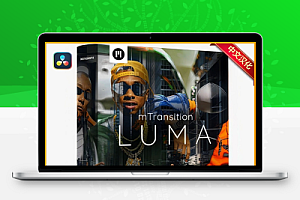 中文汉化-达芬奇插件|亮度遮罩视频转场预设 MotionVFX – mTransition LUMA