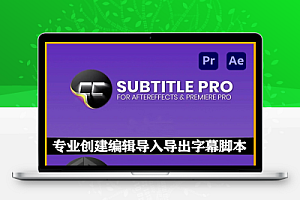 AE/PR专业创建编辑导入导出字幕脚本 Subtitle Pro 2.9.94 +使用教程
