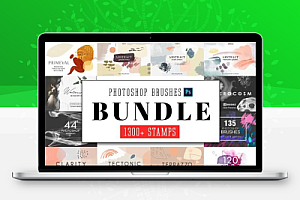 PS笔刷 1309款水彩艺术画手绘背景纹理插画 All Photoshop Stamp Brushes Bundle