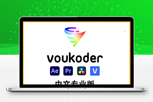达芬奇/AE/PR/ME/VEGAS加速视频编码渲染输出插件 Voukoder Pro V2.0.12 Win中文专业版
