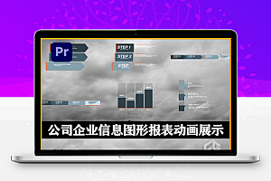 PR模板|40种公司企业信息图形报表动画展示预设 Corporate Elements