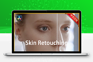 中文汉化-达芬奇人像皮肤修饰祛斑美容插件 Skin Retouching Macros