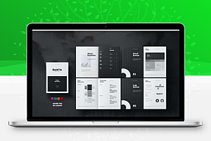 国外高级VI品牌展示PS/AI/ID模版Brand Guidelines
