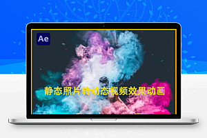 AE模板|2D转3D流体视差效果动画 Photomotion Mirage – Photo Animator