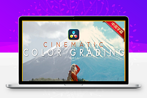 中英文字幕-达芬奇电影级调色大师教程 Cinematic Look Made Easy In DaVinci Resolve