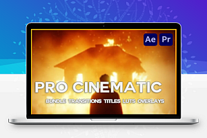 AE/PR模板|电影字幕标题转场调色预设电影级视觉 Pro Cinematic Bundle