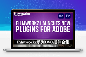 中文汉化-AE/PR视频降噪锐化色度溢出修复插件Filmworkz Adobe DVO v1.0.1 Win