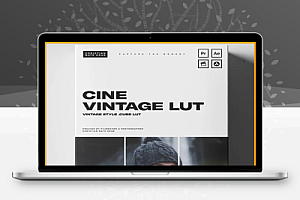 LUTs预设|复古电影风格视频调色预设 Christian Mate Grab – Cine Vintage LUT