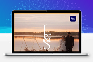 AE模板|专业婚礼视频转场文字标题调色光效叠加套装 Pro Wedding Bundle