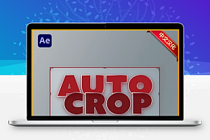 中文汉化-AE合成区域自动裁剪脚本 Auto Crop v3.2.1.1 Win/Mac + 使用教程