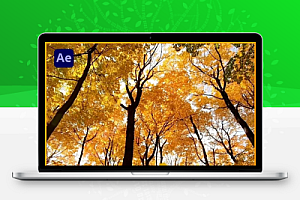 AE模板|真实秋天落叶动画 Realistic Falling Leaves