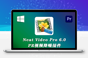 【PR插件】中文汉化-PR视频降噪插件专业版 Neat Video Pro V6.0 Win 一键安装