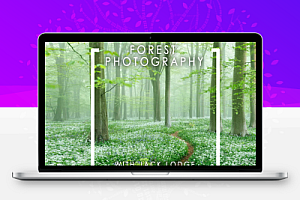 The School of Photography -Jack Lodge森林风光摄影教程-中英字幕-附素材
