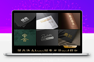 【PSD样机】33款质感凹凸烫金烫银立体logo标志图案名片卡片展示psd样机效果