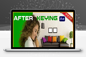 中文汉化-AE绿幕抠像辅助脚本 After Keying V1.05 + 使用教程