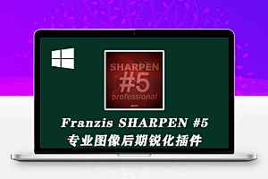 【PS滤镜】专业图像锐化插件Franzis SHARPEN projects #5 professional 5.41汉化版