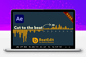 中文汉化-AE脚本音乐鼓点自动节拍打点标记动画 BeatEdit v2.2.003 Win/Mac +使用教程