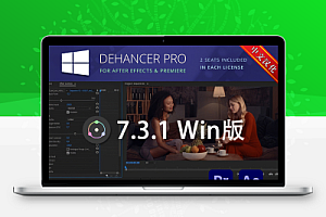 中文汉化-AE/PR胶片模拟视频调色插件 Dehancer Pro v7.3.1 Win